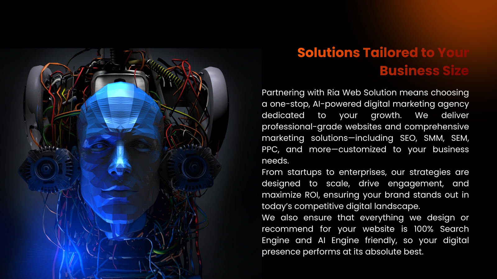 Rws ria web solution ai (3)