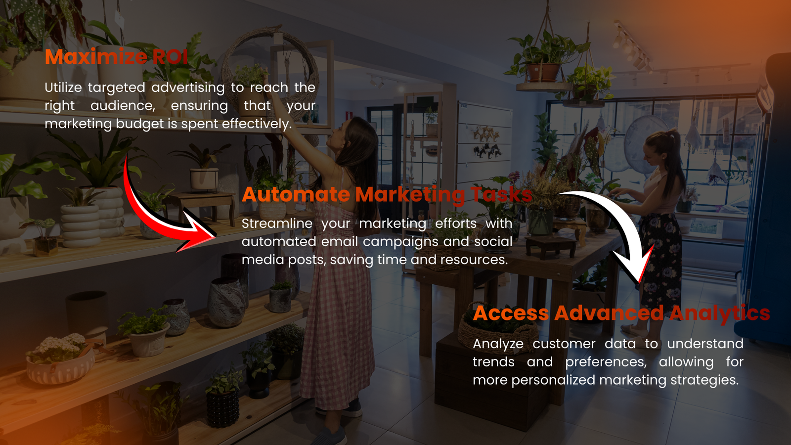 Rws ria web solution ai (7)